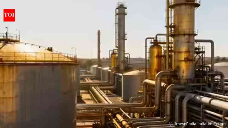 Fuel-hit Russia bought gasoline produced by India’s Nayara Energy via traders: Report