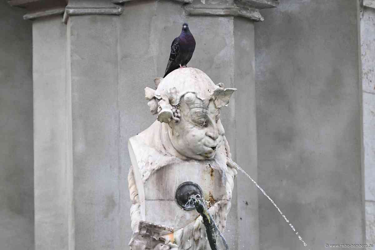 Hier kann es am Wochenende im Freistaat regnen