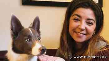 Urgent warning to dog owners after puppy dies hours after poisoning at Lake District