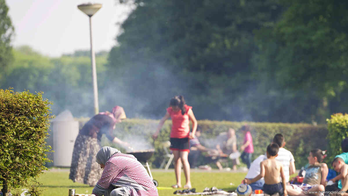 Zomerweer keert terug: Nederland geniet van droge, zonnige dagen
