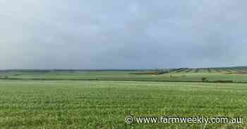 Conditions are improving following an uncertain start to the growing season