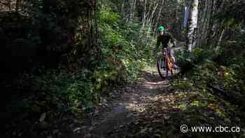 Fatal crash on Fernie, B.C., mountain bike trail shocks riding community