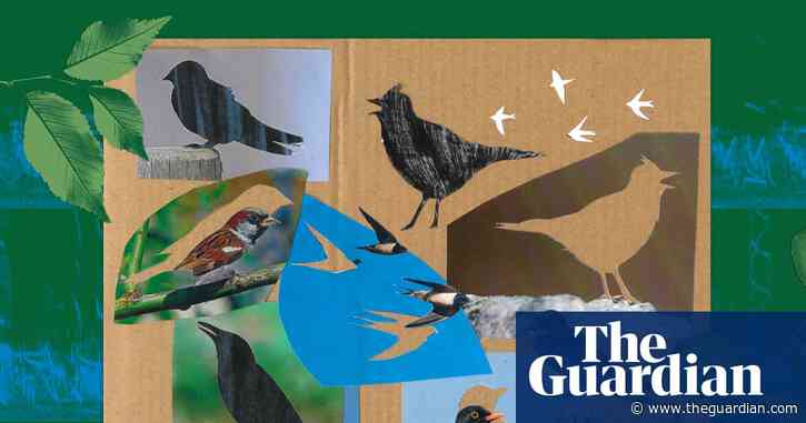Listen to Britain’s dawn chorus of 1976: the dramatic loss of birdsong in 50 years