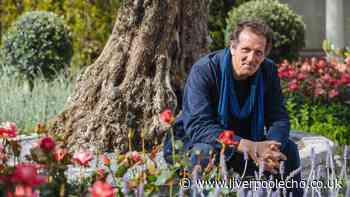 Monty Don urges gardeners to do key task now for stunning wisteria blooms next year