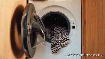 Anyone with a washing machine urged to do 3-second task after each wash