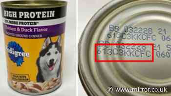 Dog owners sent 'contact vet' warning as popular food recalled