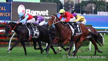 ‘We should have won’: Lee brothers eye Glorious second chance at Epsom