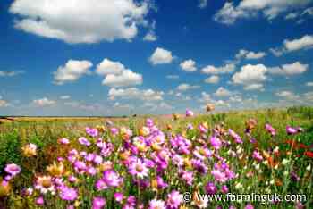 Farmers to get direct route into Higher Tier scheme
