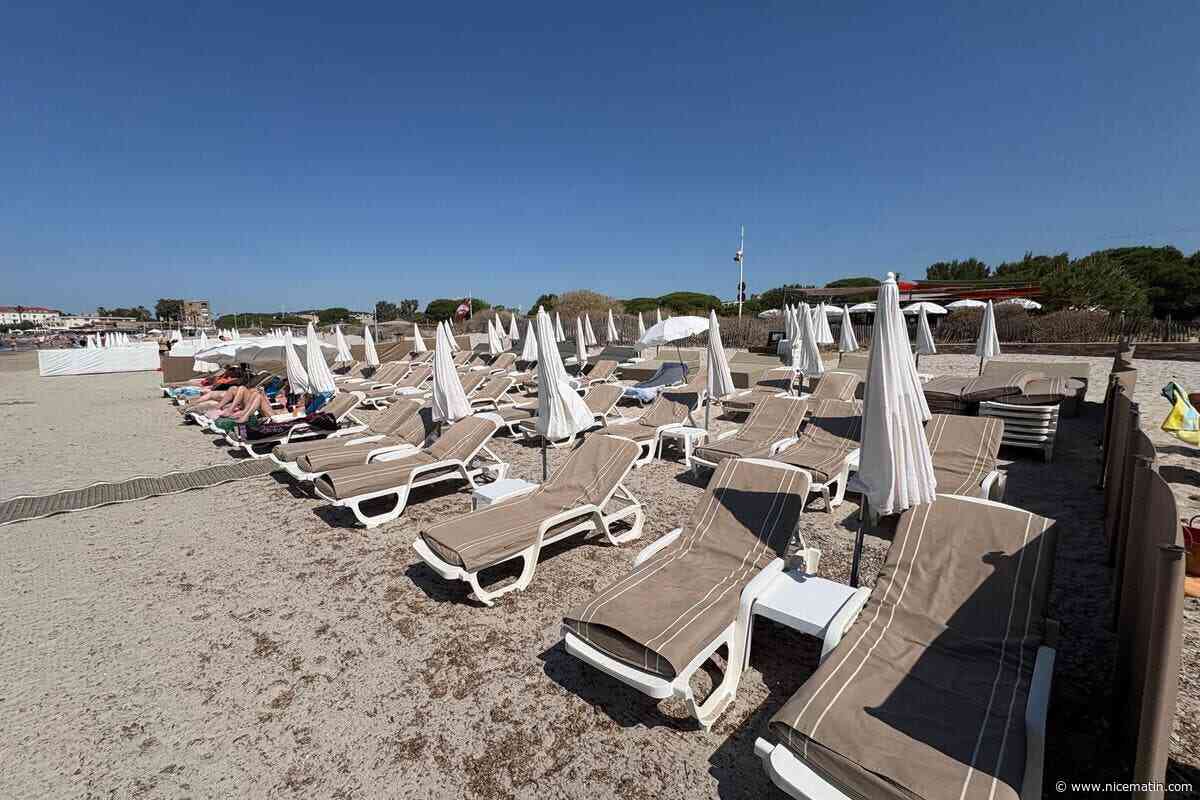 Familiale, exotique, chill ou lounge : quatre « paillotes » avec des ambiances différentes pour se restaurer, les pieds dans l’eau, à La Seyne