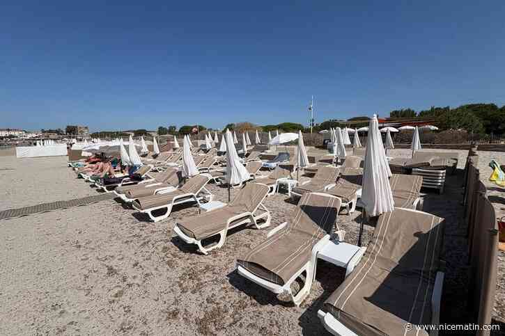 Familiale, exotique, chill ou lounge : quatre « paillotes » avec des ambiances différentes pour se restaurer, les pieds dans l’eau, à La Seyne