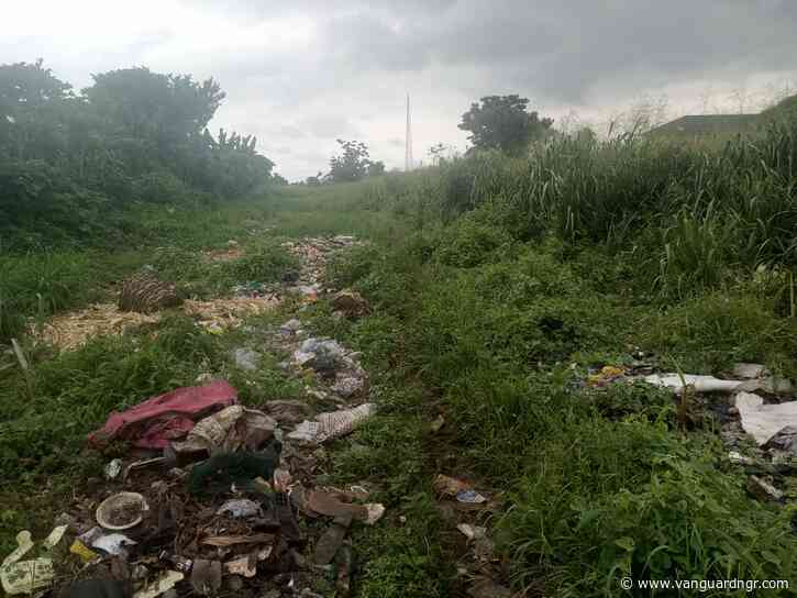 Photos: South-East records mixed fortunes in sanitation, open defecation fight