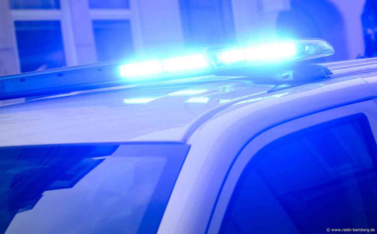 Jugendlicher transportiert Baum auf dem Mofa