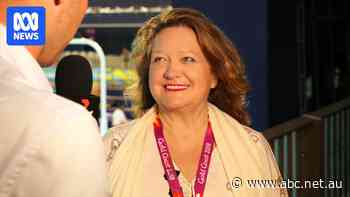 'Similar to a blender': Gina Rinehart defends helipad amid noise concerns