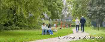 Veertien tinten groen