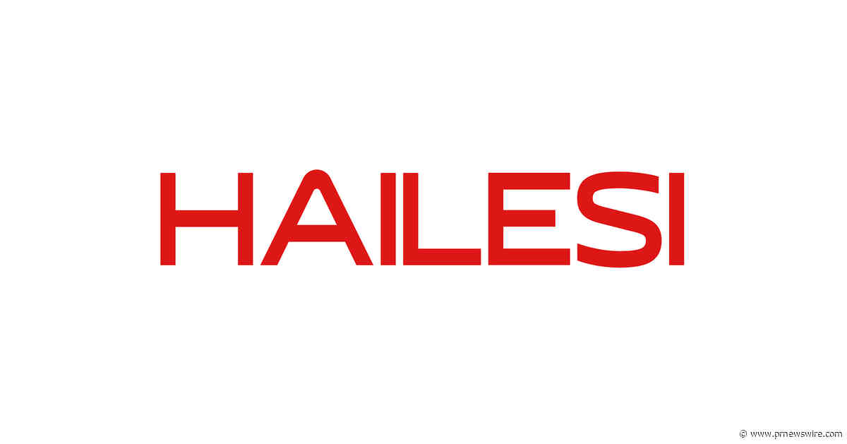 Ultra-Portable Large-Screen Companion for Nintendo Switch Gamers -- HAILESI S135 Portable Monitor | 500 Nits Peak Brightness &amp; Crisp 2.2K Resolution, a Top-Tier Pick Worth Considering