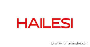 Ultra-Portable Large-Screen Companion for Nintendo Switch Gamers -- HAILESI S135 Portable Monitor | 500 Nits Peak Brightness &amp; Crisp 2.2K Resolution, a Top-Tier Pick Worth Considering