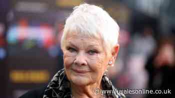 'Absolutely perfect' Judi Dench series confirms return and fans don't have long to wait