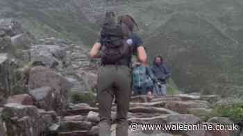 Princess Kate’s 'tough as old boots' backpack is hiker's dream and underseat saviour