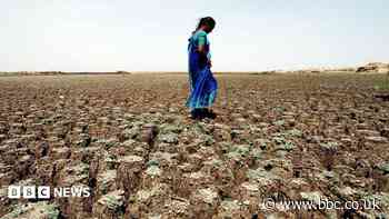 Farming worries after India records driest June in over a decade