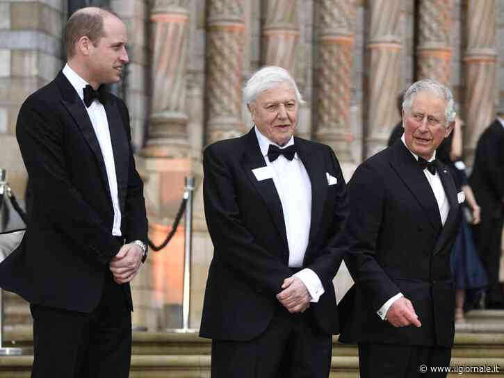 Viaggio di Harry a Londra. Incontro segreto tra Re Carlo, William e Camilla per prepararsi all'arrivo del Principe