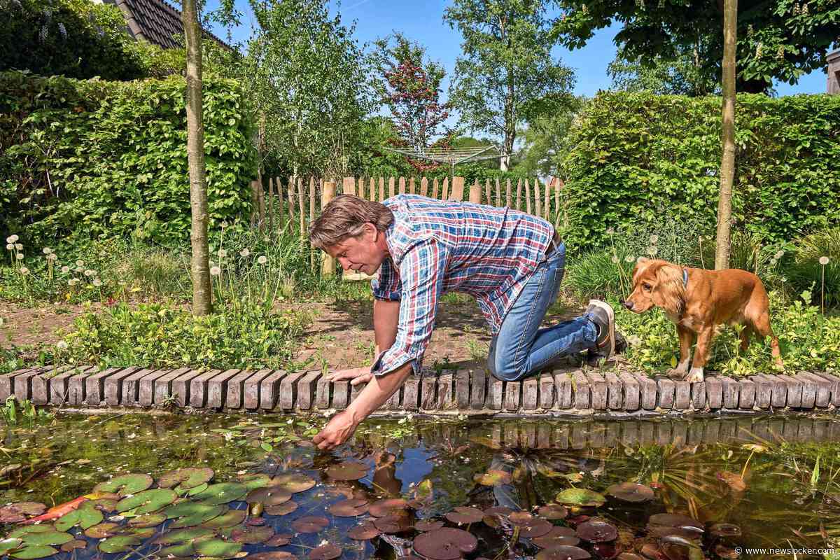 Je eigen groene oase: in 7 stappen naar een ’levende’ tuin