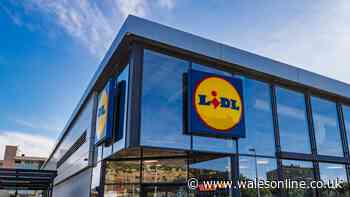 Tesco and Lidl warn of food poisoning as they issue urgent recall — full list