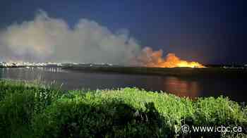 Greater Moncton fireworks show causes small brush fire