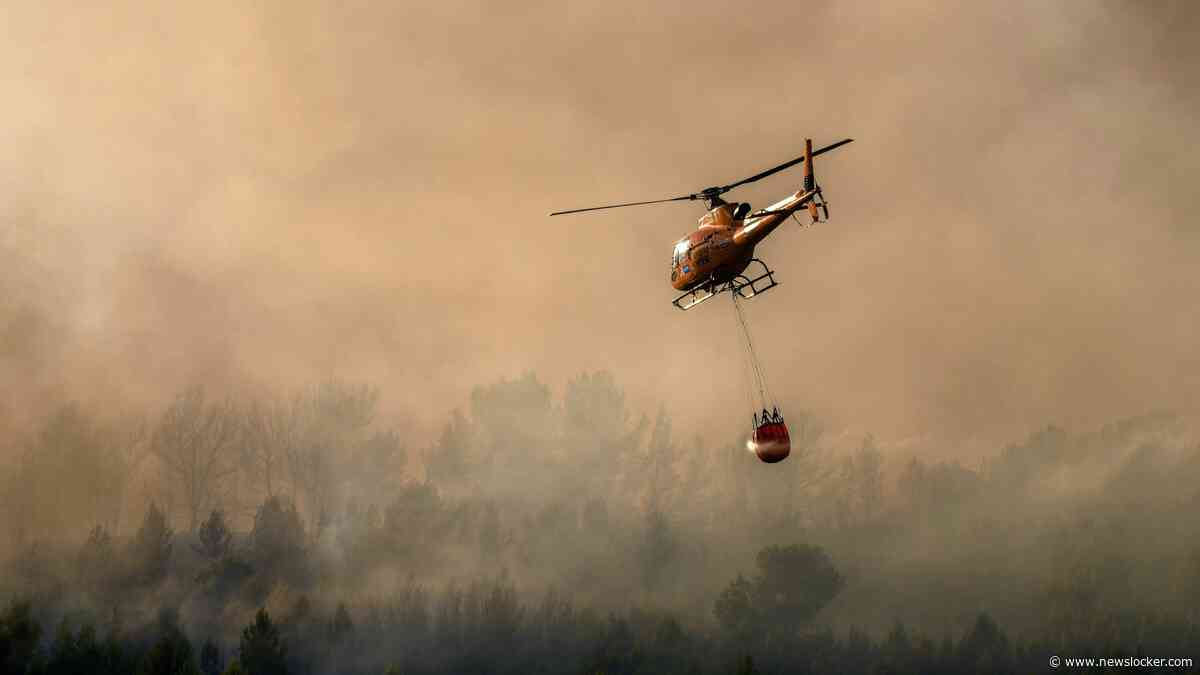 Evacuaties en wegafsluitingen in Frankrijk om hitte en bosbranden: dit moet je doen als je deze week op vakantie gaat