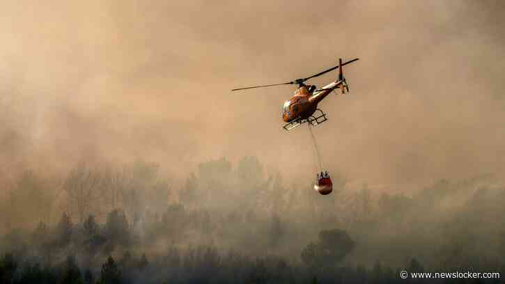 Evacuaties en wegafsluitingen in Frankrijk om hitte en bosbranden: dit moet je doen als je deze week op vakantie gaat