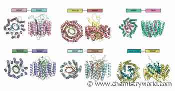 Protein wrappers designed by AI solve membrane proteins’ solubility problem