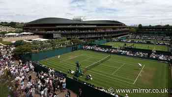 'I got seat at Wimbledon Centre Court and this is how to do it without a ticket'