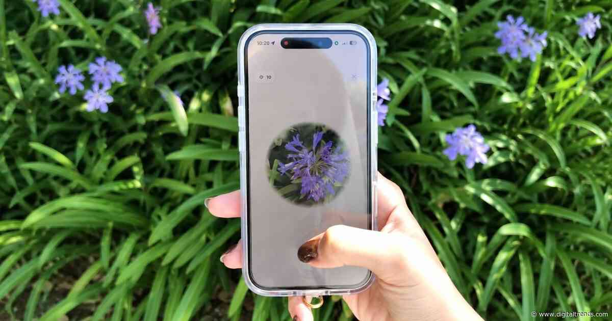 This flower identification app turns every walk into Pokémon Go for plants