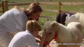 Stacey Solomon copies her 'frenemy' Mrs Hinch by revealing she's fostered two ponies after the cleaning guru adopted a trio of alpacas - after star's 'ruthless' treatment of pal emerged
