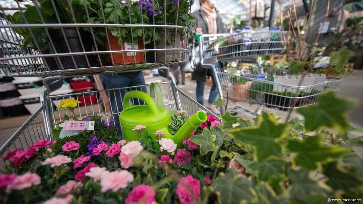 Gartencenter-Kette insolvent – „anhaltend schwierige Marktentwicklung“