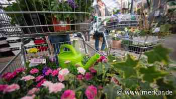 Gartencenter-Kette insolvent – „anhaltend schwierige Marktentwicklung“