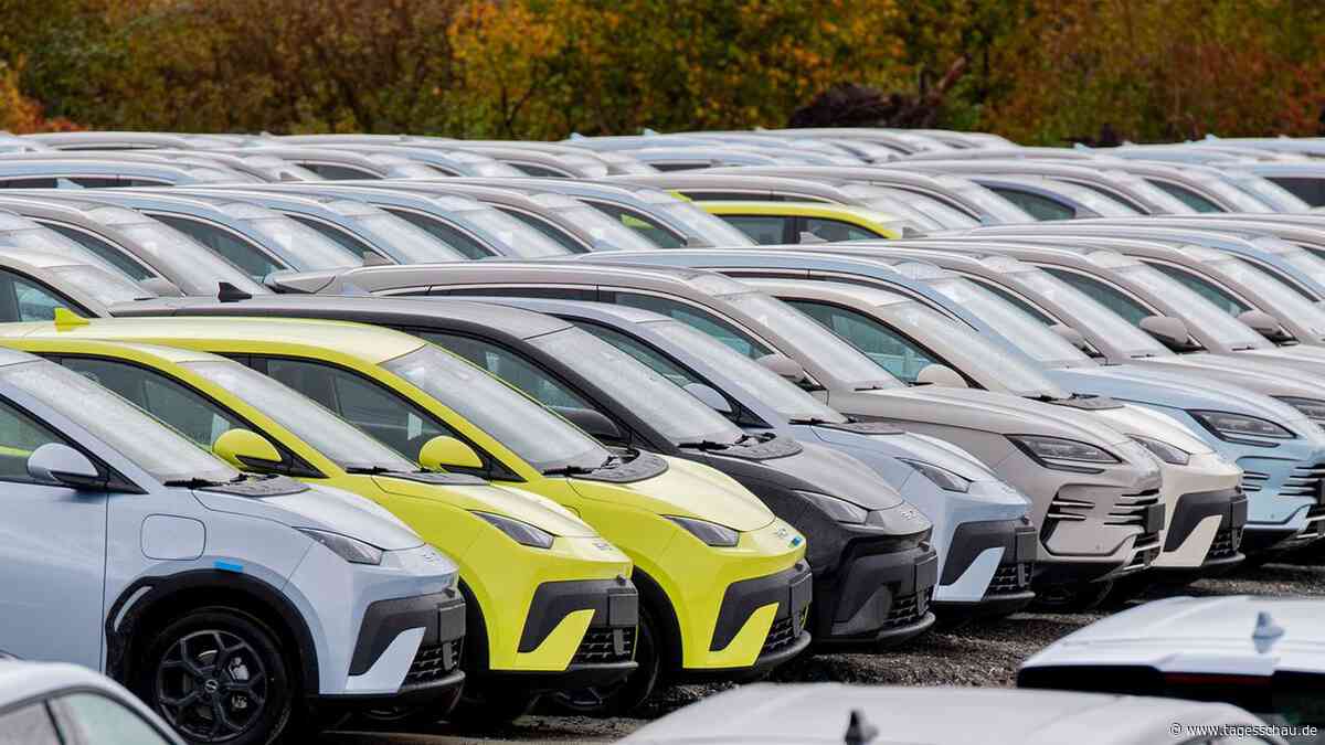 Deutsche E-Auto-Förderung hilft stark chinesischen Herstellern