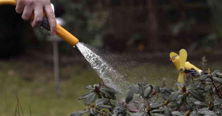 1,000,000 people face hosepipe ban next week ahead of third heatwave of 2026
