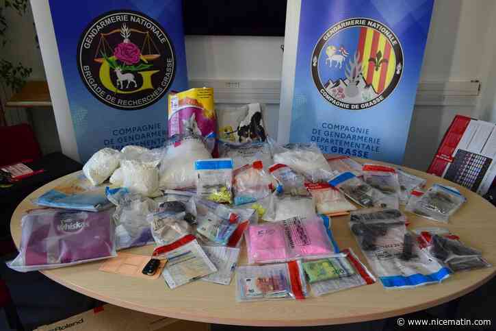 Des dealers dissimulaient de la kétamine dans les croquettes pour animaux : les gendarmes de Grasse démantèlent un trafic de stups pour rave-party près de Vence