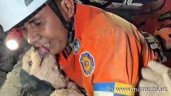 Incredible moment dog rescued from rubble of Venezuela earthquake after FIVE days trapped in rubble