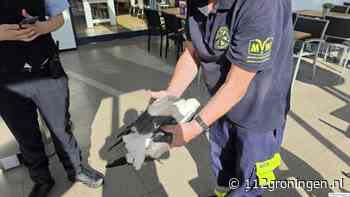 Meeuw gered uit winkel door dierenambulance