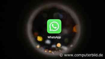 WhatsApp-Benutzernamen lassen sich jetzt vorab reservieren