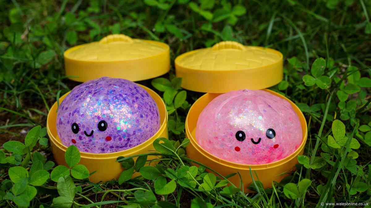 Mum shares urgent squishy dumpling toy safety warning to other parents