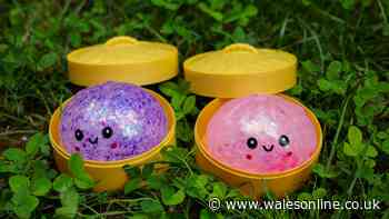 Mum shares urgent squishy dumpling toy safety warning to other parents