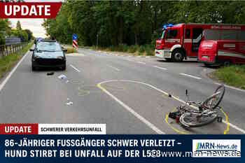Böhl-Iggelheim – UPDATE – 86-jähriger Fußgänger bei Unfall auf der L528 schwer verletzt – Hund stirbt noch an der Unfallstelle