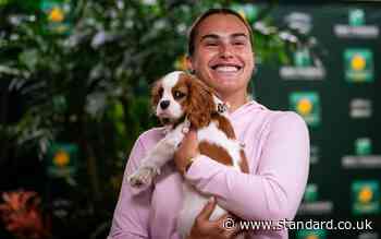 What is Wimbledon's dog policy and why is Aryna Sabalenka so upset about it?