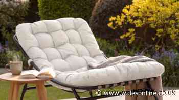 'Comfy' garden rocking chair drops from £160 to £90 but colours are selling fast