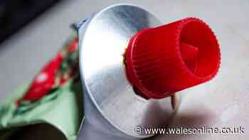 'Don't throw away' tomato puree tube as they have 'charming' second use