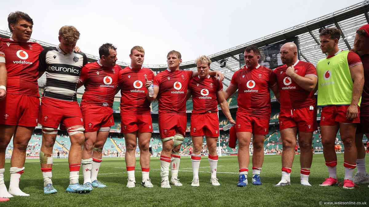 Gwyn Jones: Truth about Wales will be revealed against Fiji as Lion has point to prove