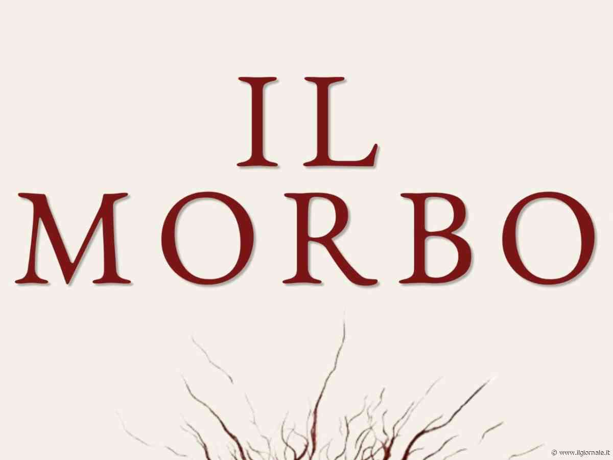 "Il morbo": Paolo Gambi prova a spiegare da dove viene la malattia dell'Occidente