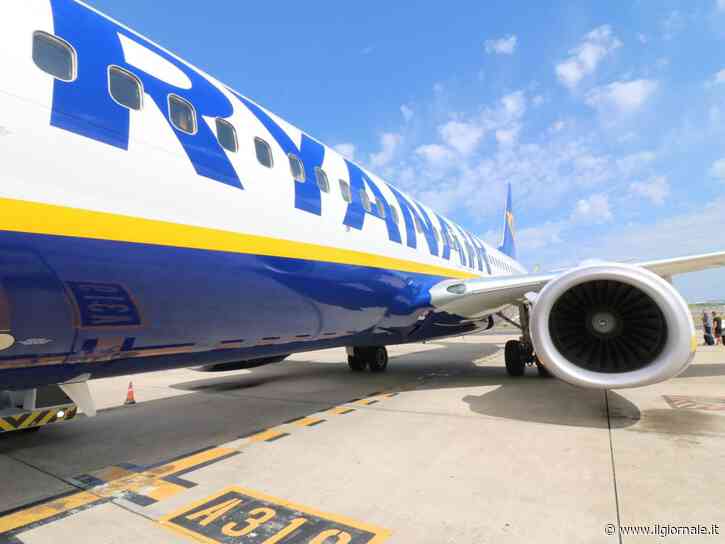 L'aereo per Alicante è invaso dalle zanzare: i passeggeri devono cambiare volo